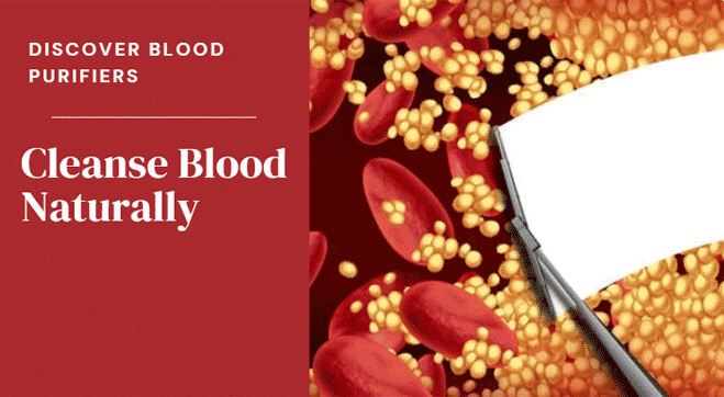 Best Blood Purifier Foods: How to Clean Blood Naturally?