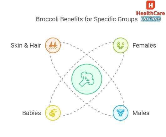 Broccoli Benefits for Specific Groups infographic