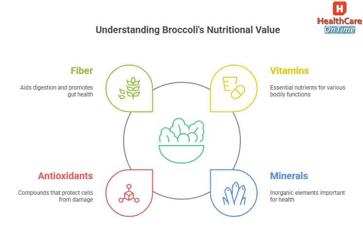 broccoli benefits and side effects infographic