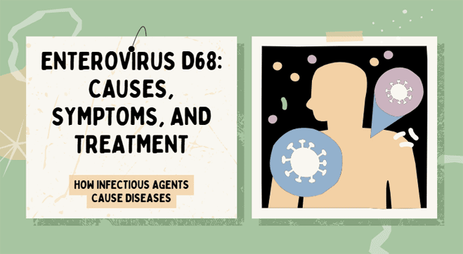 Enterovirus D68: Causes, Symptoms, and Treatment