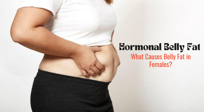 what causes belly fat in females