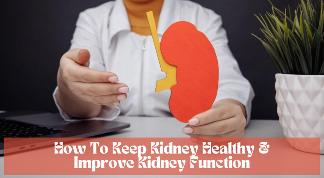 How To Keep Kidney Healthy And  Improve Kidney Function