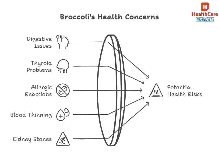 Potential Side Effects of Broccoli infographic