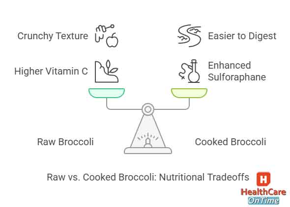 Raw Broccoli Benefits infographic