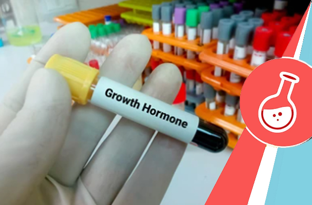 Human growth hormone (hgh)